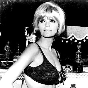 carol_wayne_(actress) Carol Wayne (Actress) download