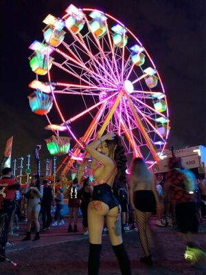 Photo by Morrigan Fox